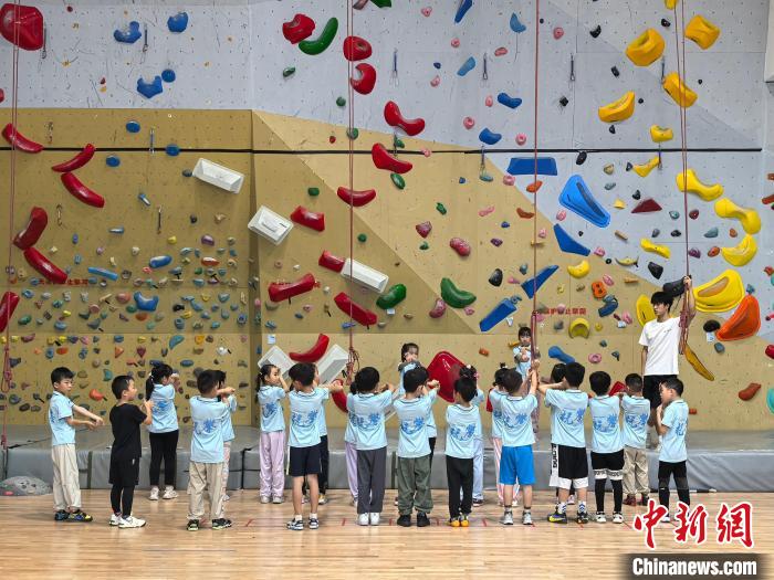 中国攀岩巴黎奥运摘银引热议 小众项目迎来发展