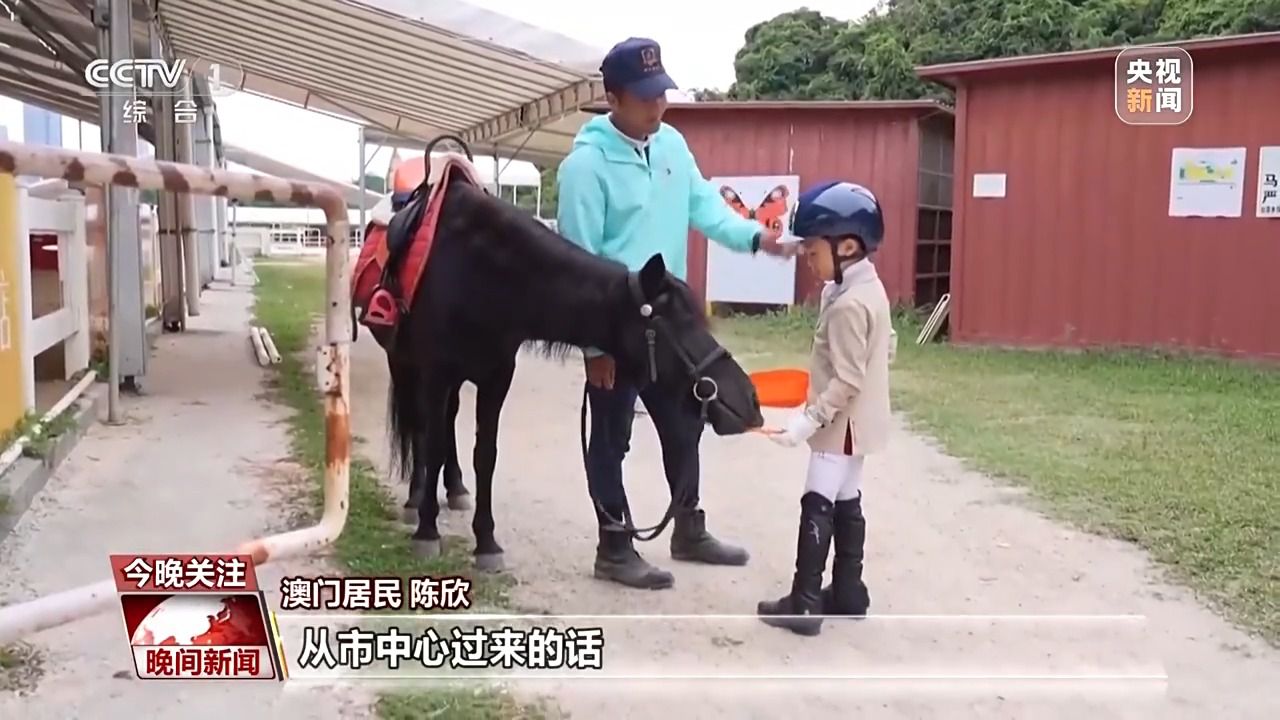 粤港澳全运会点燃湾区活力 跨城体育赛事推动区